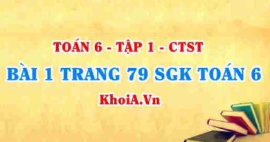 Bài 1 trang 79 SGK Toán 6 Chân trời sáng tạo Tập 1